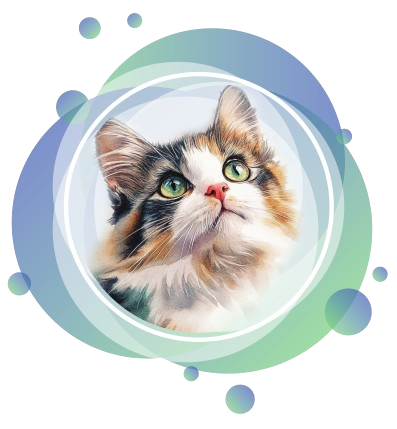 Tvesha Innovations Pvt Ltd